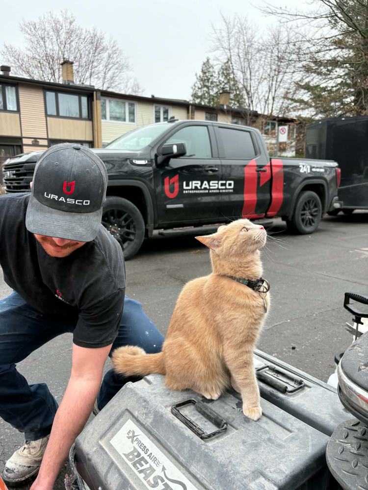 Membre de l'équipe Urasco devant le camion, avec un chat curieux sur l'équipement